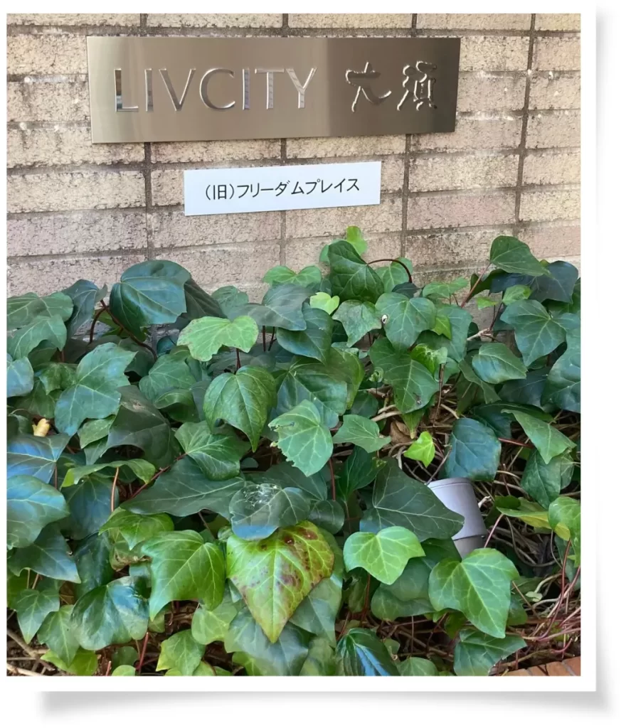名古屋・大須にある占い・カウンセリングAJNAのエントランスです。リヴシティ大須というマンションにあります。